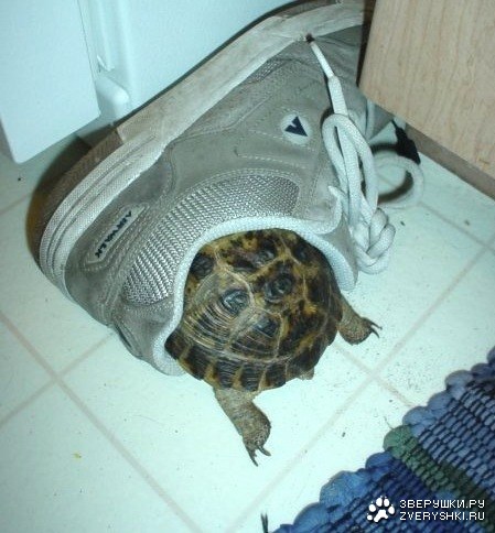 ���� � �� ��� :)