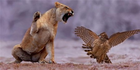 �������� :)