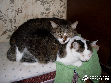 ���� � ���� :)