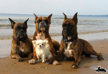 ��������� � ��������������� :)