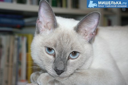 ������� ��������� ������ :)