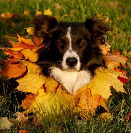 ������� ������� :)