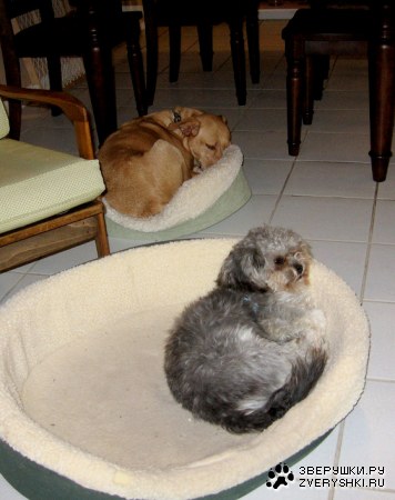 ������... :)