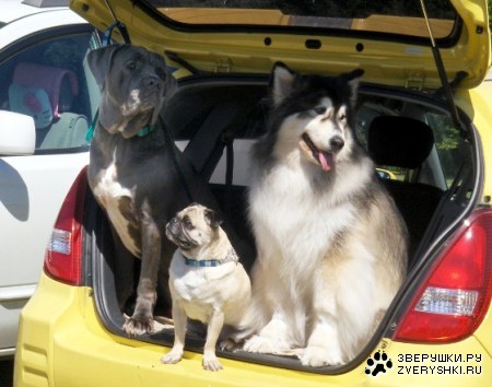 �� ������ � ����������� :)