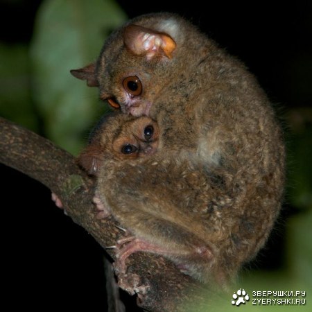 ������������ ������� :)