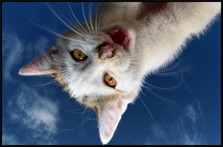 ���, ��������! :)