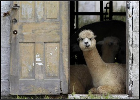 � ���� �� �������� :)