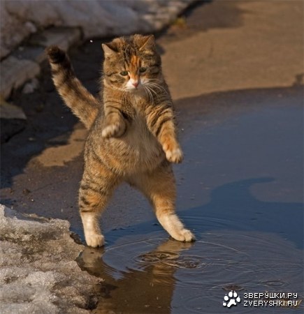 ����� �� ���� :)