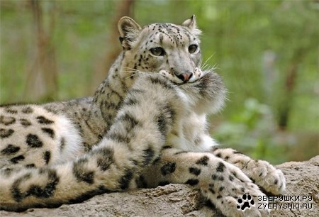 ������� ����� � ����! ;)