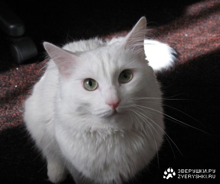 ����� �������� :)