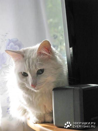 ����� �������� :)