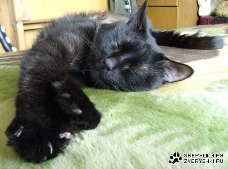 ������� ��� ;)