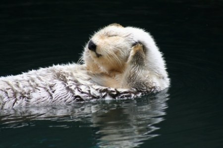 ������ ���, ������ :)