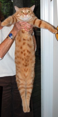 ������� ������� ��� :)