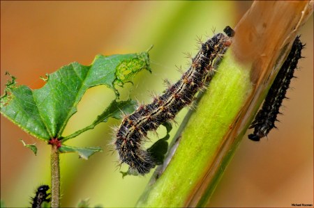 �������� :)