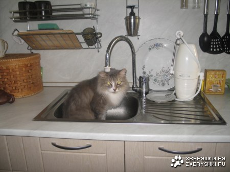 ������ ������ :)