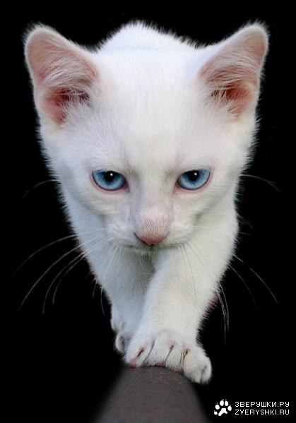 �������! ;)