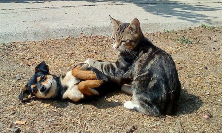 ��������� ������ :)