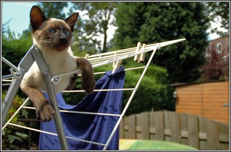 ������ � ��� :)