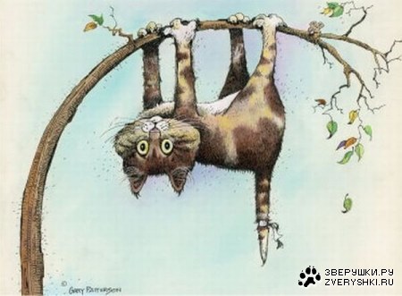 ������� ��� ���! ;)