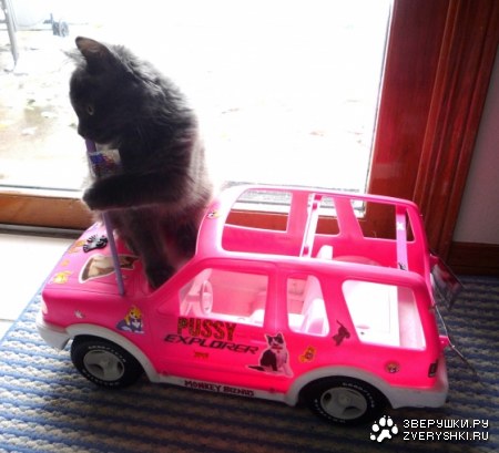 �� ����������... :)