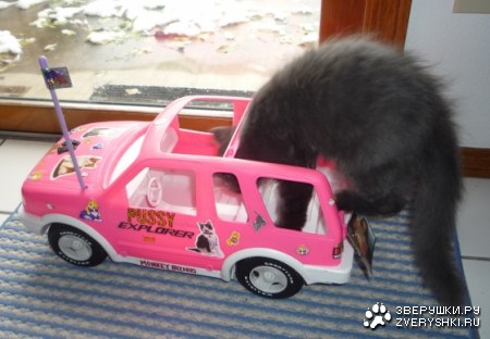 �� ����������... :)