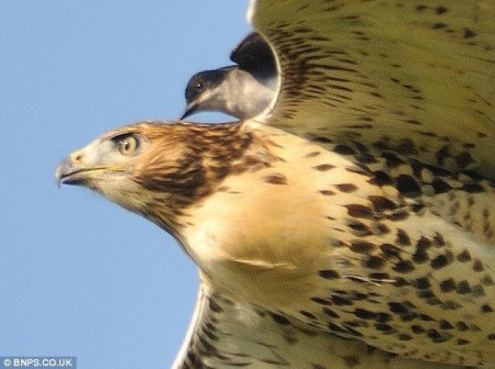 ��������� ����� ;)