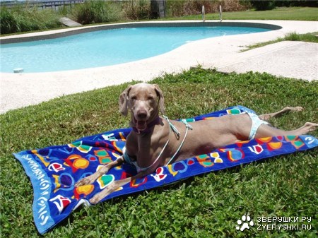 �������� ��������� ����� ;)