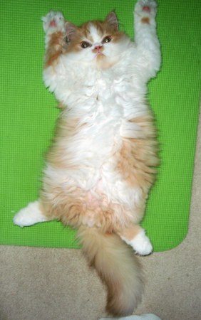 ������! :)