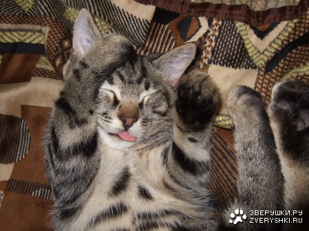 ��������� ���� :)