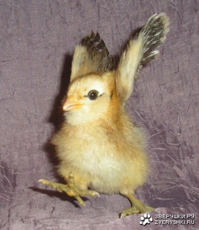 �������������! :)