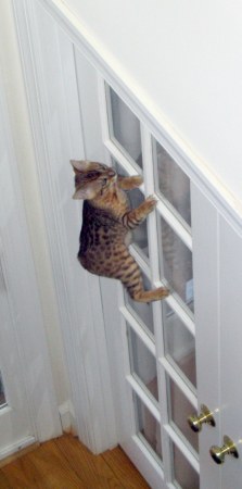 �������� :)