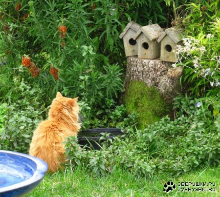 � ��� ��� ����� �������... :)