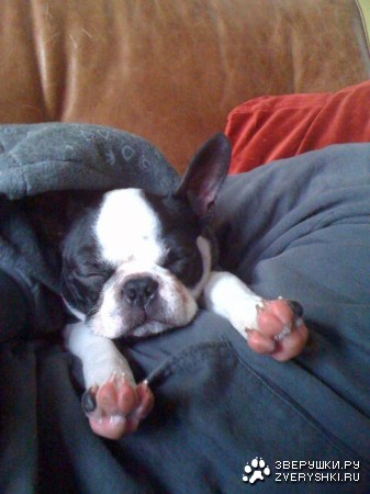 ��������� ;)