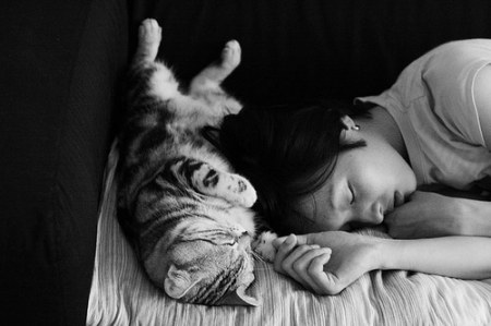 �������� ��������� :)