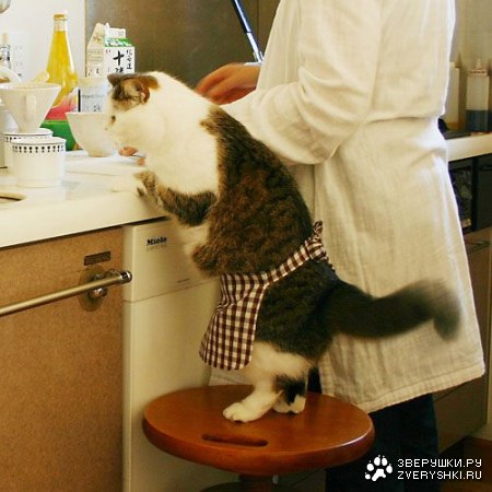 �� ��������� ��������... :)