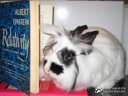 ����� �������� :)