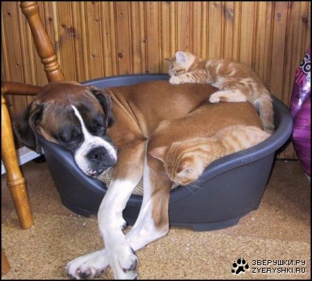 ������ ��������� :)