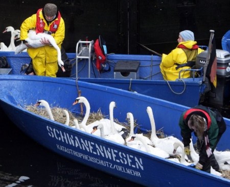 ������� ��������� �� ������� (5 ����)