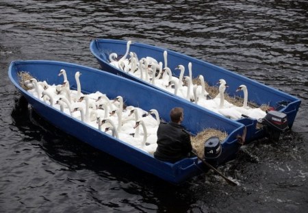 ������� ��������� �� ������� (5 ����)