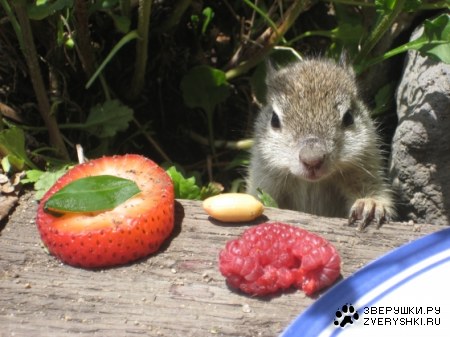 ������� ��������� �������! ;)