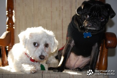 �� �� ��� �������, ������, �� �� ;)