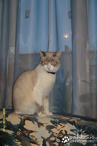 �������� ������� :)