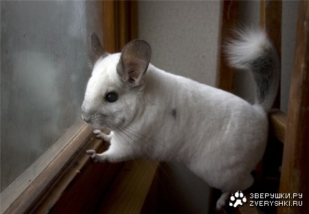 � � ���� �� ���...