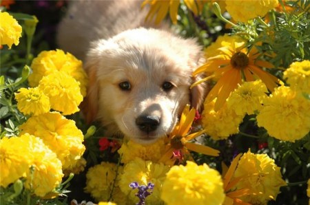 ������� ��� ��������! :)