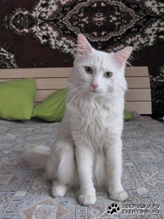 ��� ����� � ����� � �������� :)