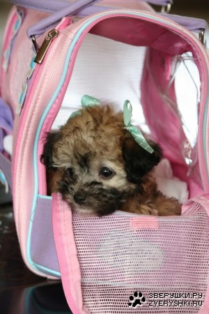 �������������� ������ :)