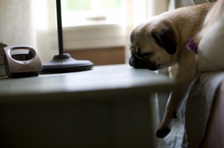 ����� �� ���� ����������! ;)