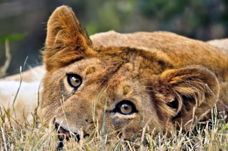 ������������ ������ ;)