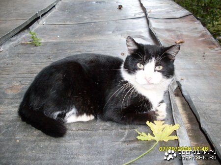 ������ ���� :)